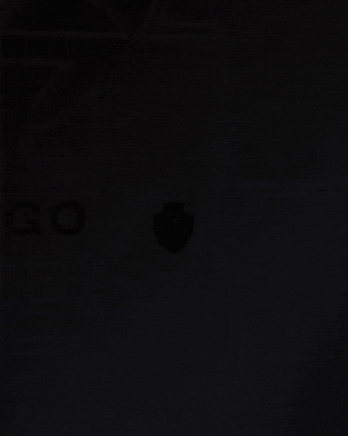 Vasco Da Gama GIF