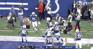 2019 Nfl Football GIF by NFL