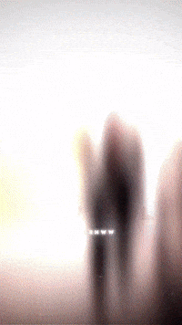 Prince Ev GIF