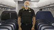 SpiritAirlines fly letsgo spirit spiritairlines GIF