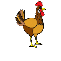 Chicken Hen Sticker