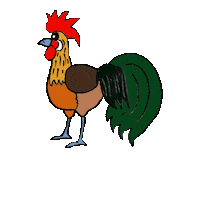 Rooster Chickens Sticker
