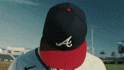 Major League Baseball GIF by MLB