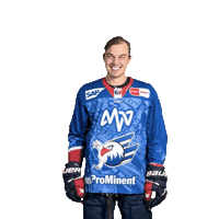 Uba Sticker by Adler Mannheim