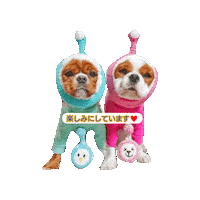Dogs Love Sticker