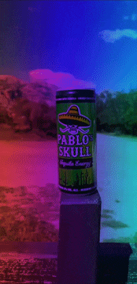 GIF by pablos skull
