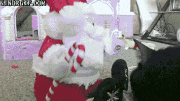 cat attack GIF by Cheezburger