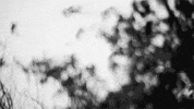 art film GIF by hoppip