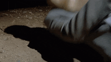 Fail Fall In Love GIF by JAWNY