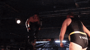 Wpw Uncensored GIF by SHWAperth