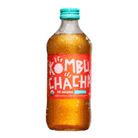 Sabores Botellas Sticker by Kombuchacha