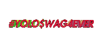 swag yolo Sticker by AnimatedText