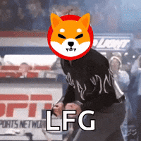 Shiba GIF by SHIB MEMES