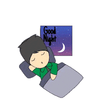Good Night Sleeping Sticker