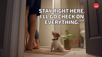 Stay right here