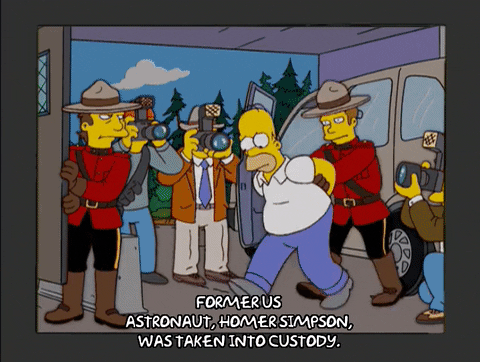 homer simpson episode 6 GIF