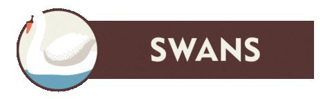 22StreetLane giphyupload swans 22sln 22 street lane nursery logo Sticker