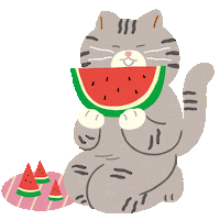 고양이 수박 Sticker by 위닉스