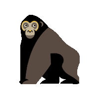 audubonnature gorilla audubon audubon nature institute audubon nature Sticker