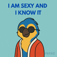 Sexy And I Know It Macaw GIF by Feraz NFT