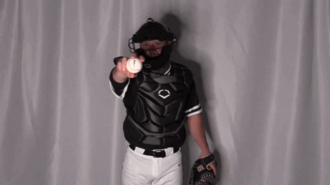 Collegebaseball Ncaadii GIF by RiverHawk Sports
