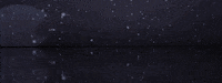 art radcliffe GIF by Harvard University