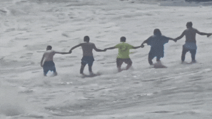 27876c68d164442081ae2165eb023d3c giphyupload GIF