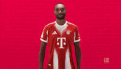 Fc Bayern Hello GIF by Bundesliga