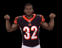 Cincinnati Bengals Football GIF by NFL