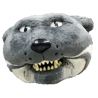 Angry Kansas State Sticker by Kansas State University