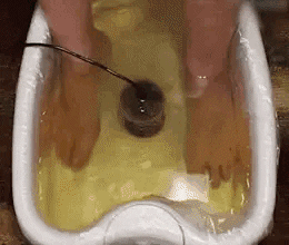 amis0d23 giphyupload GIF