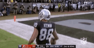 2018 Nfl Football GIF by NFL