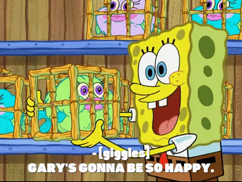 season 7 keep bikini bottom beautiful GIF by SpongeBob SquarePants