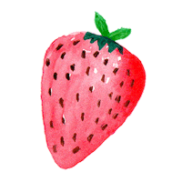 Fruit Strawberry Sticker
