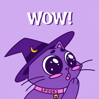 Oh My Wow GIF by Spooks The Cat