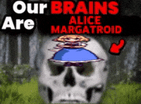 Touhou Project Skull GIF