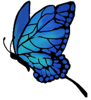 jemapelle butterfly 青 나비 蝶 Sticker