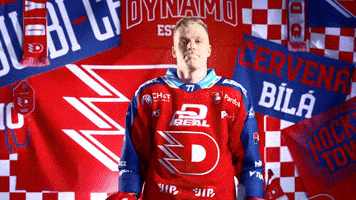 Michal GIF by HC Dynamo Pardubice