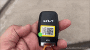 Driving Lets Go GIF by Namaste Car