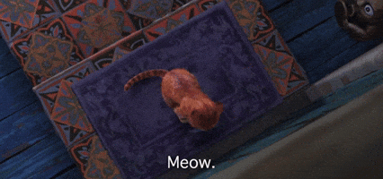 Meow