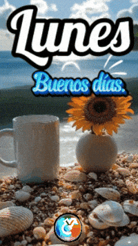De Vida Sol GIF by Murcianys LLC