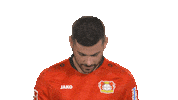 Bayer 04 Hello Sticker by Bundesliga