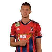 molfehervarfcgif vidi szekesfehervar fehervar molfehervarfc Sticker