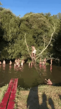 Vila Do Conde Tendinha GIF