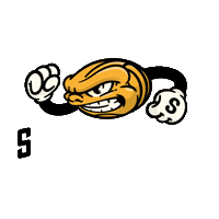 savovolley lentopallo savo volley savovolley Sticker