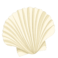 Beach Life Sticker by Ray White Keevers Group