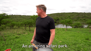 An Amazing Safari Park