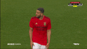 Angry Sl Benfica GIF by Sport Lisboa e Benfica
