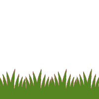 Grass Agriculture Sticker by KWS