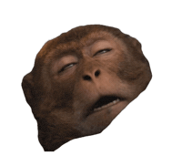 Monkey Spider Sticker